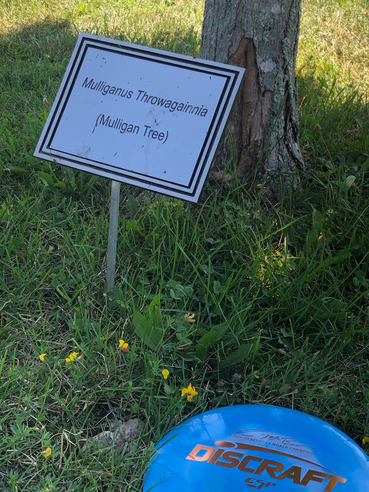 A sign of hope at Cahoon!