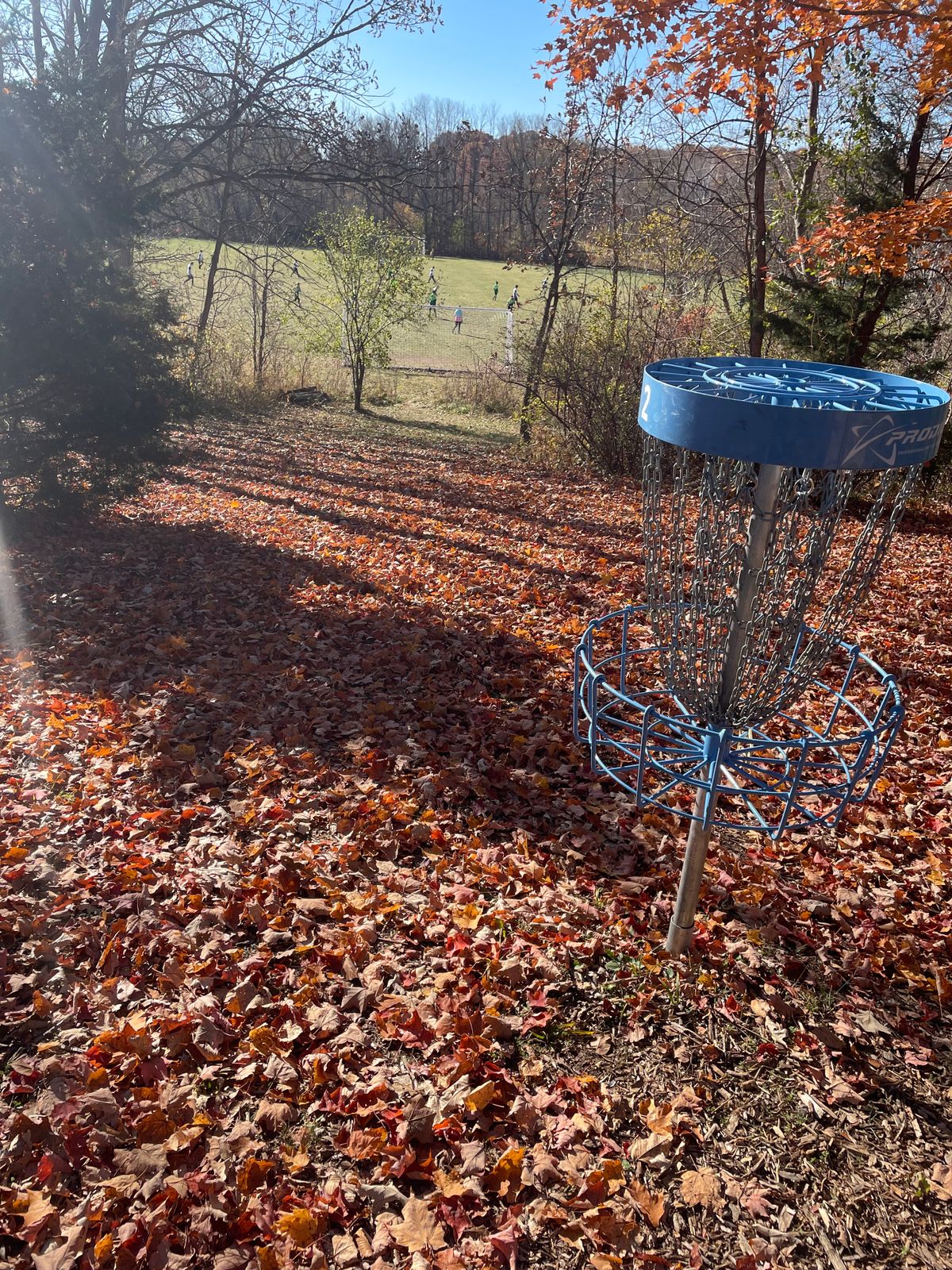 Basket of 2 looking down into the soccer fields in the park.
