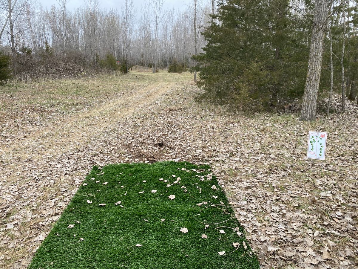 Hole 15 (April 2021)