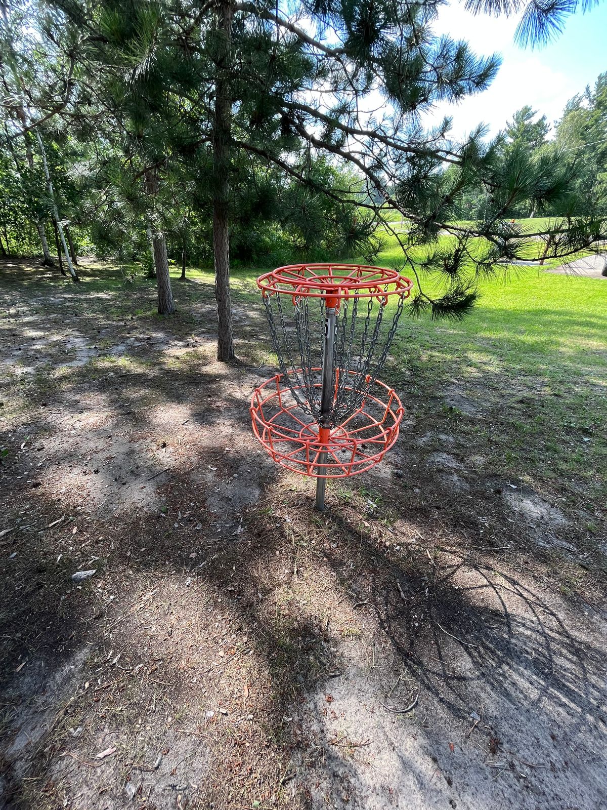 Basket 5