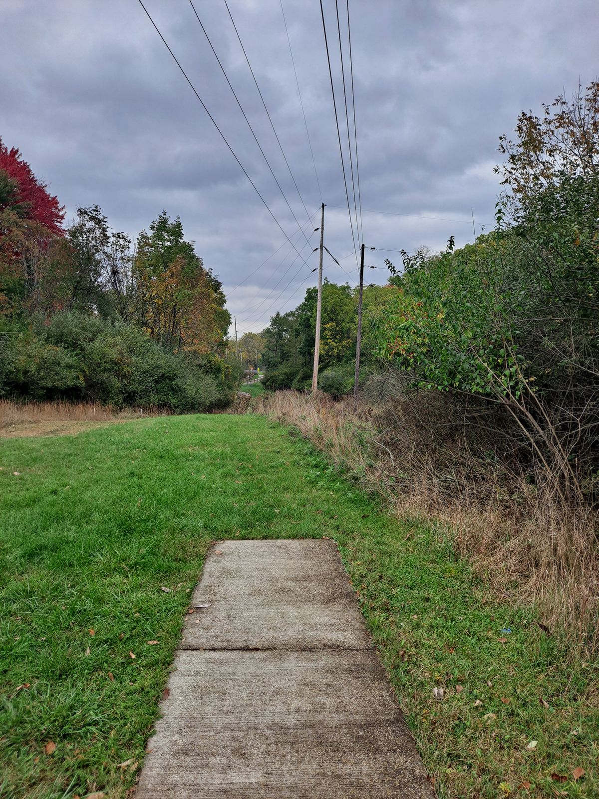 Hole 7 long