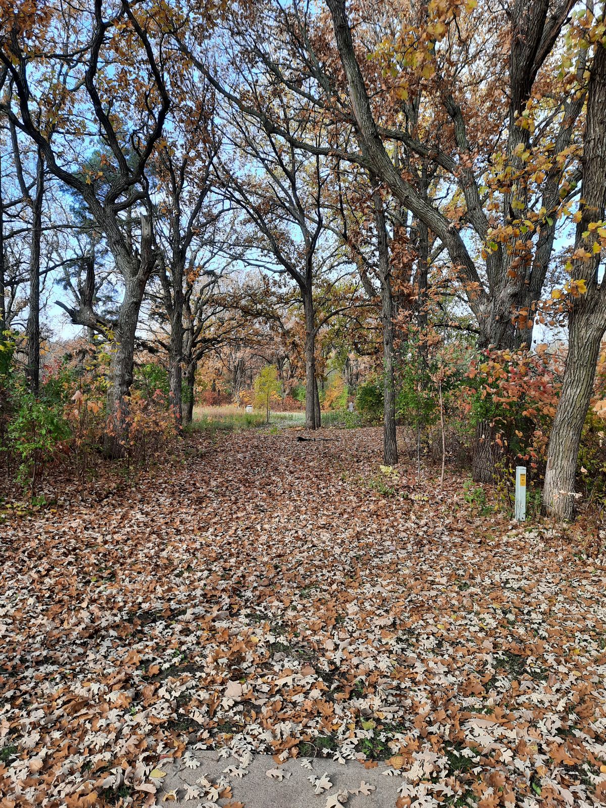 Hole 4 tee