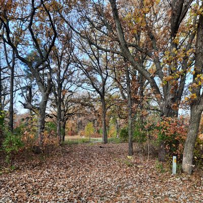 Hole 4 tee