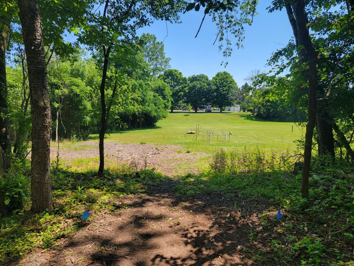 #9 (Basket behind bushes on left)