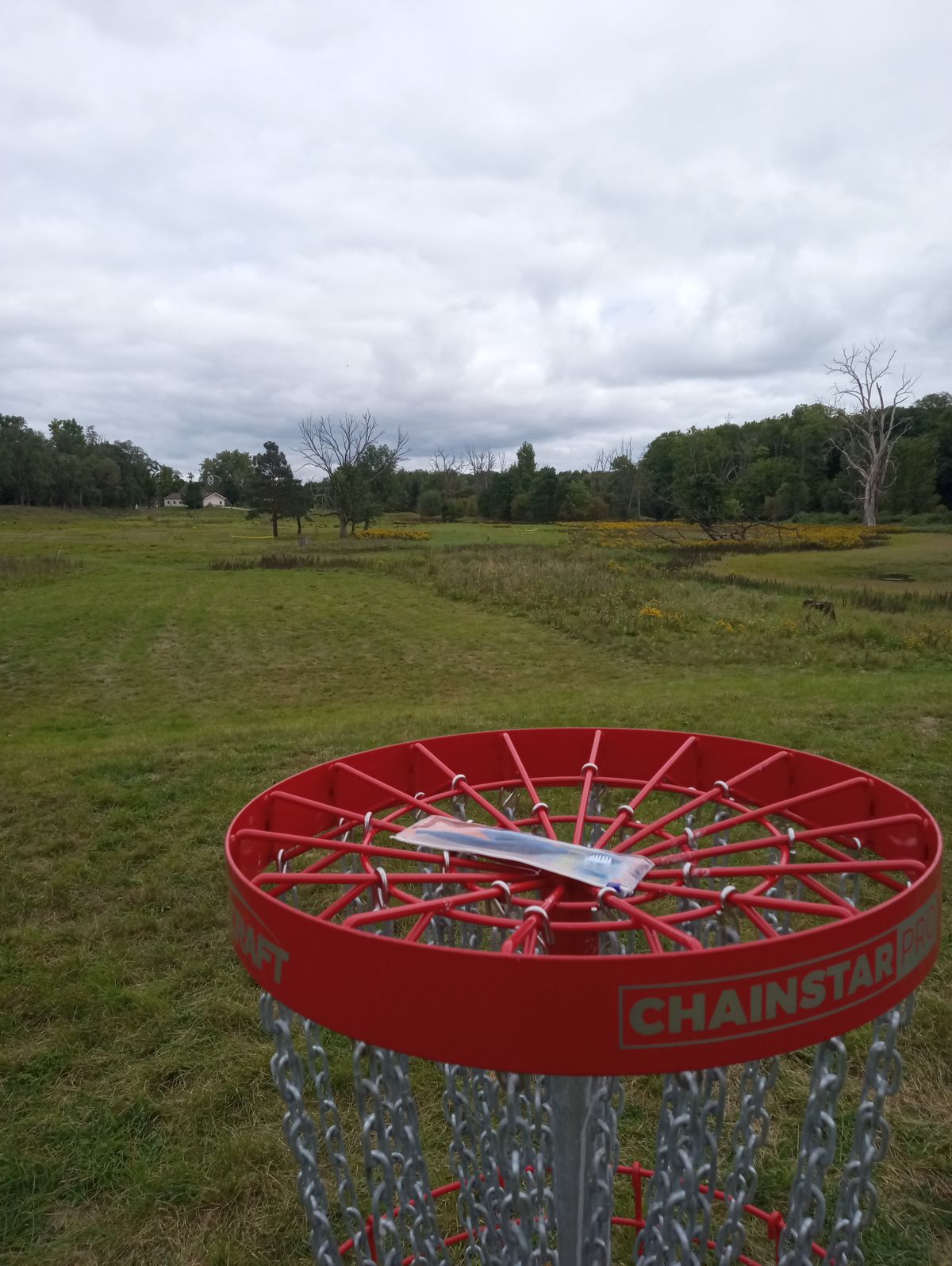 Hole 8 back to tee