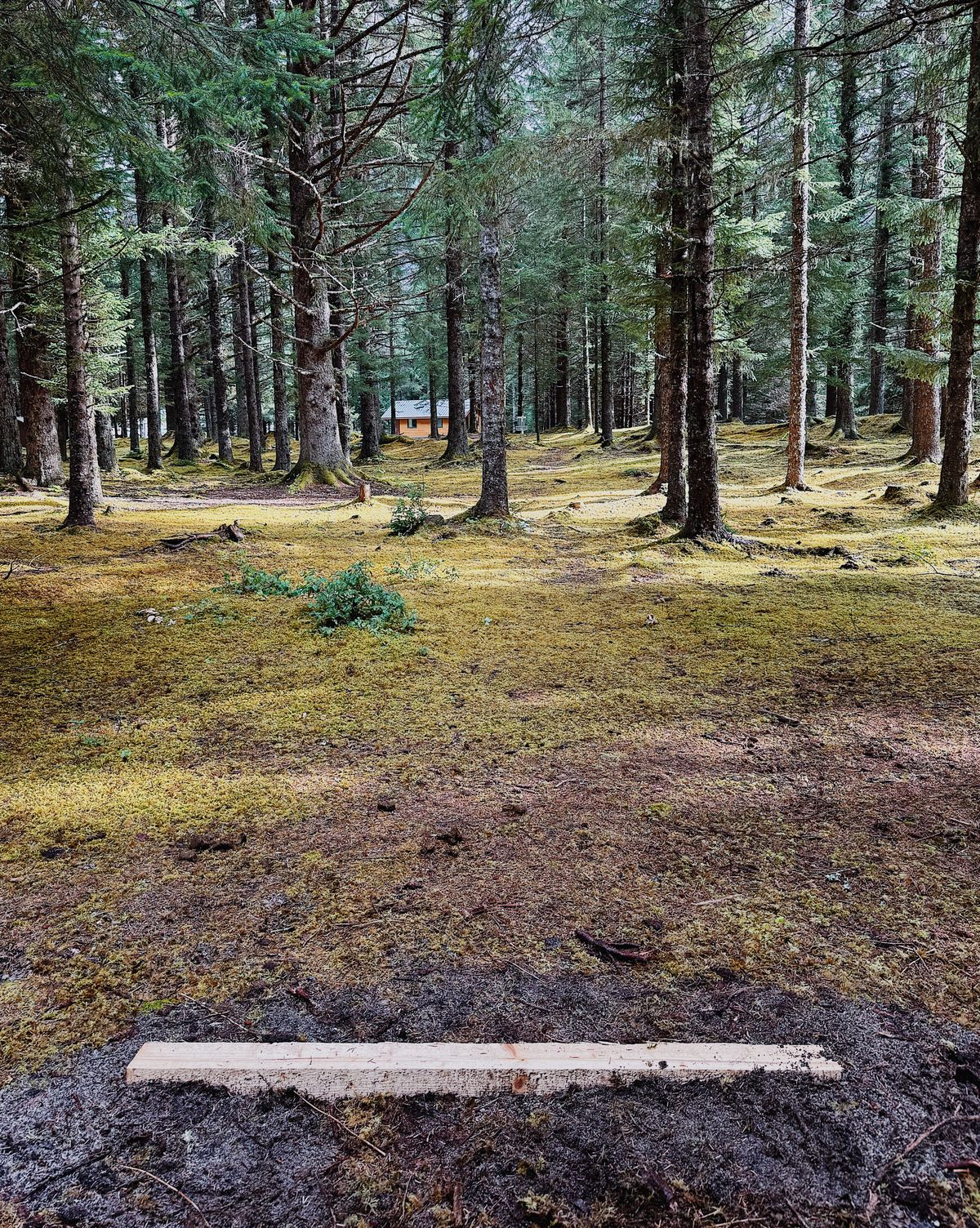 Hole 4 Tee Pad