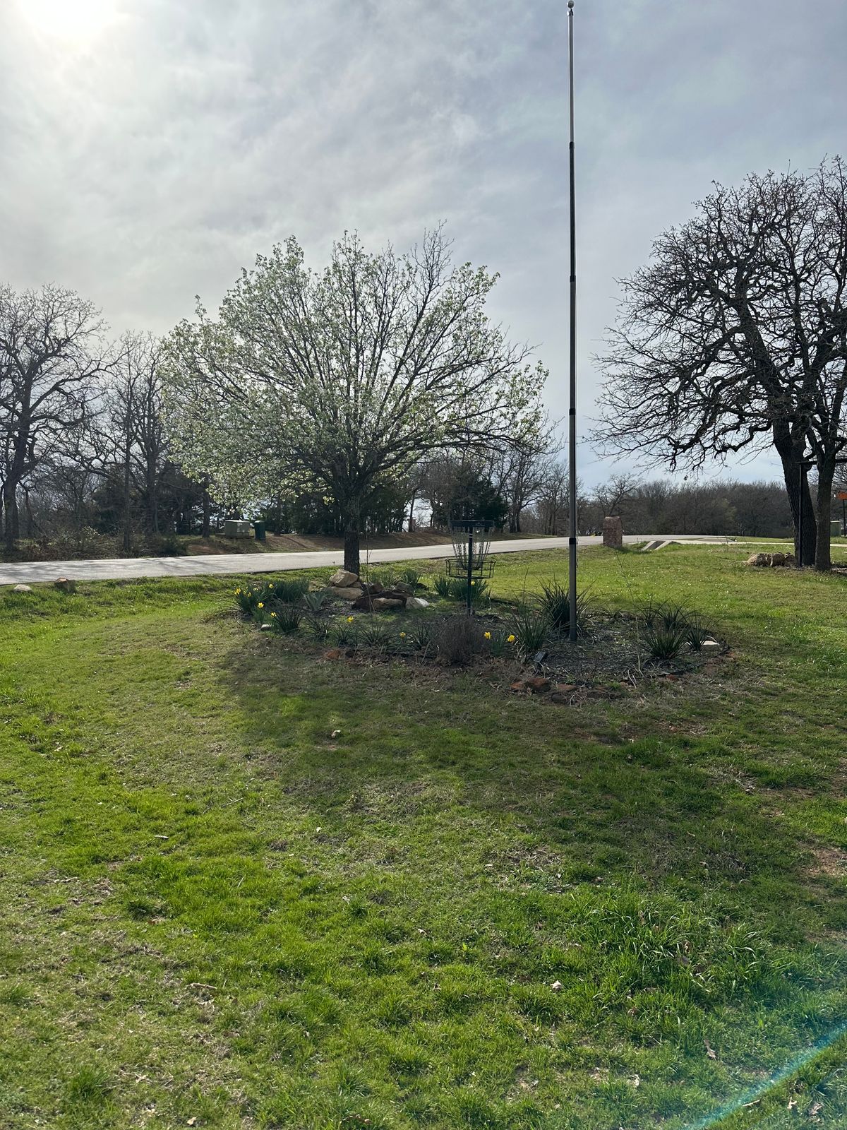 Hole 1 with the Bradford Pear blooming.