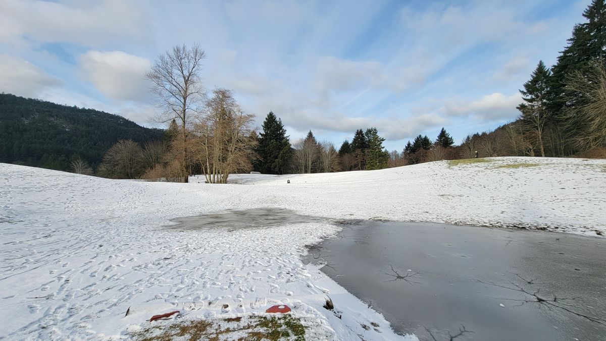 Snowy January can't keep me away. Lots of players at the farm today.