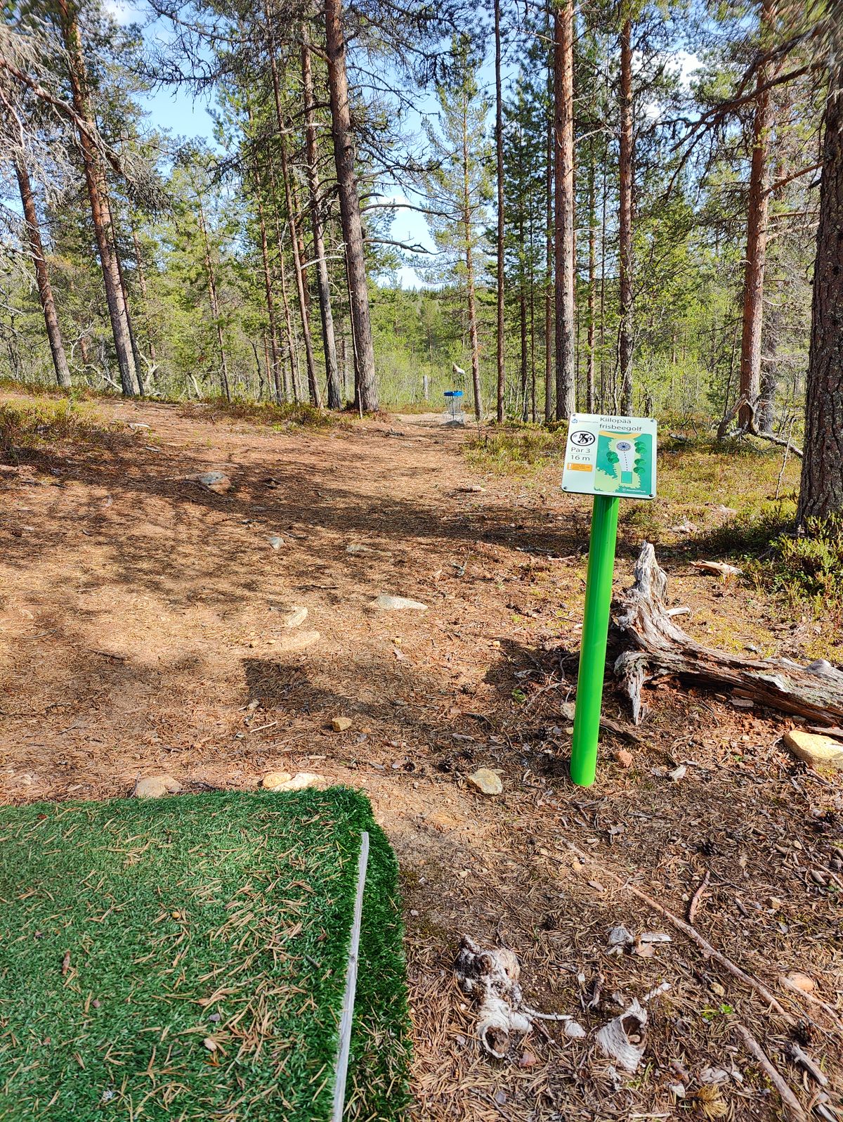 16m par 3. Can you ace it?