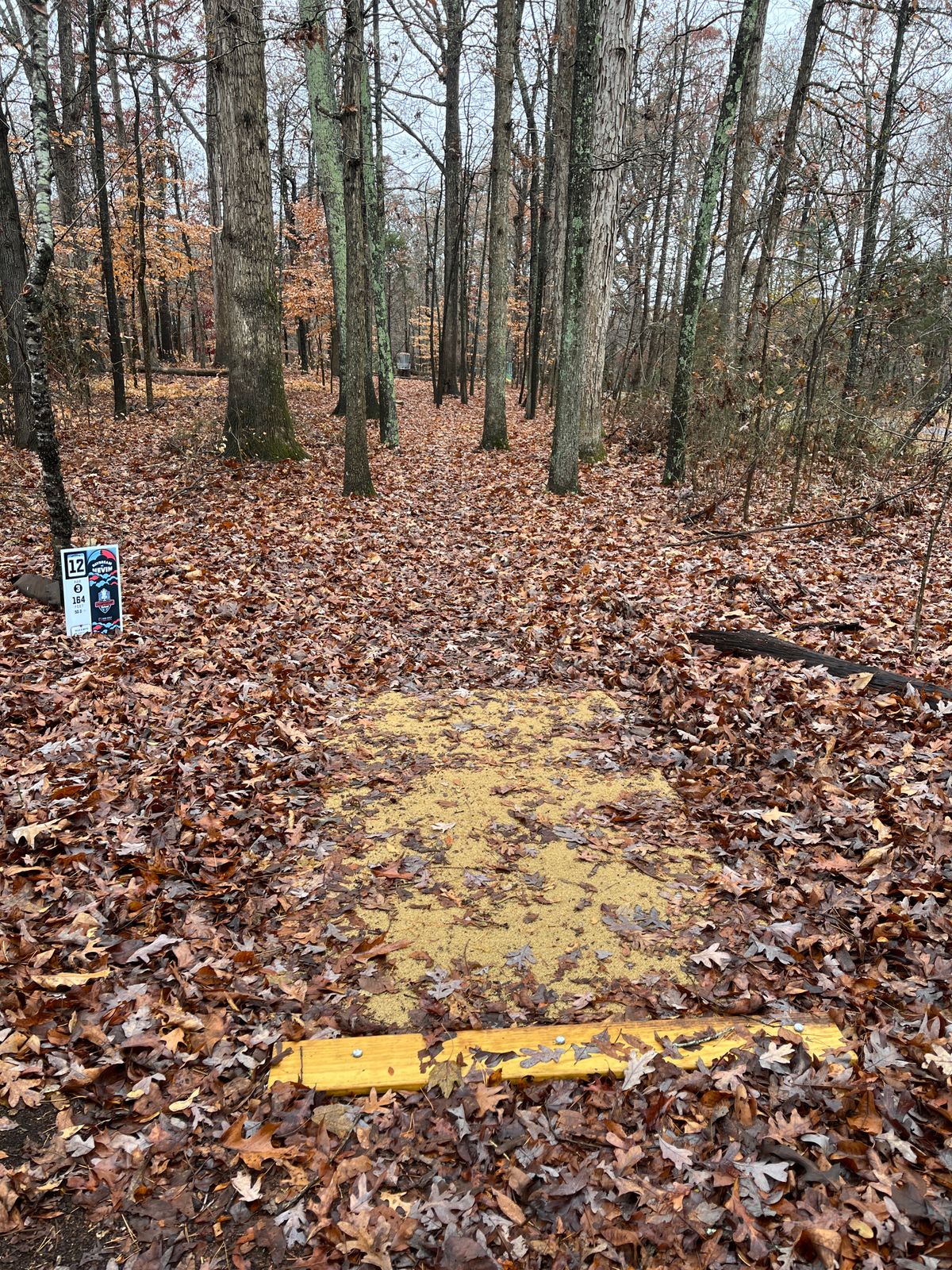 Hole 11 tee