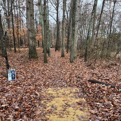 Hole 11 tee