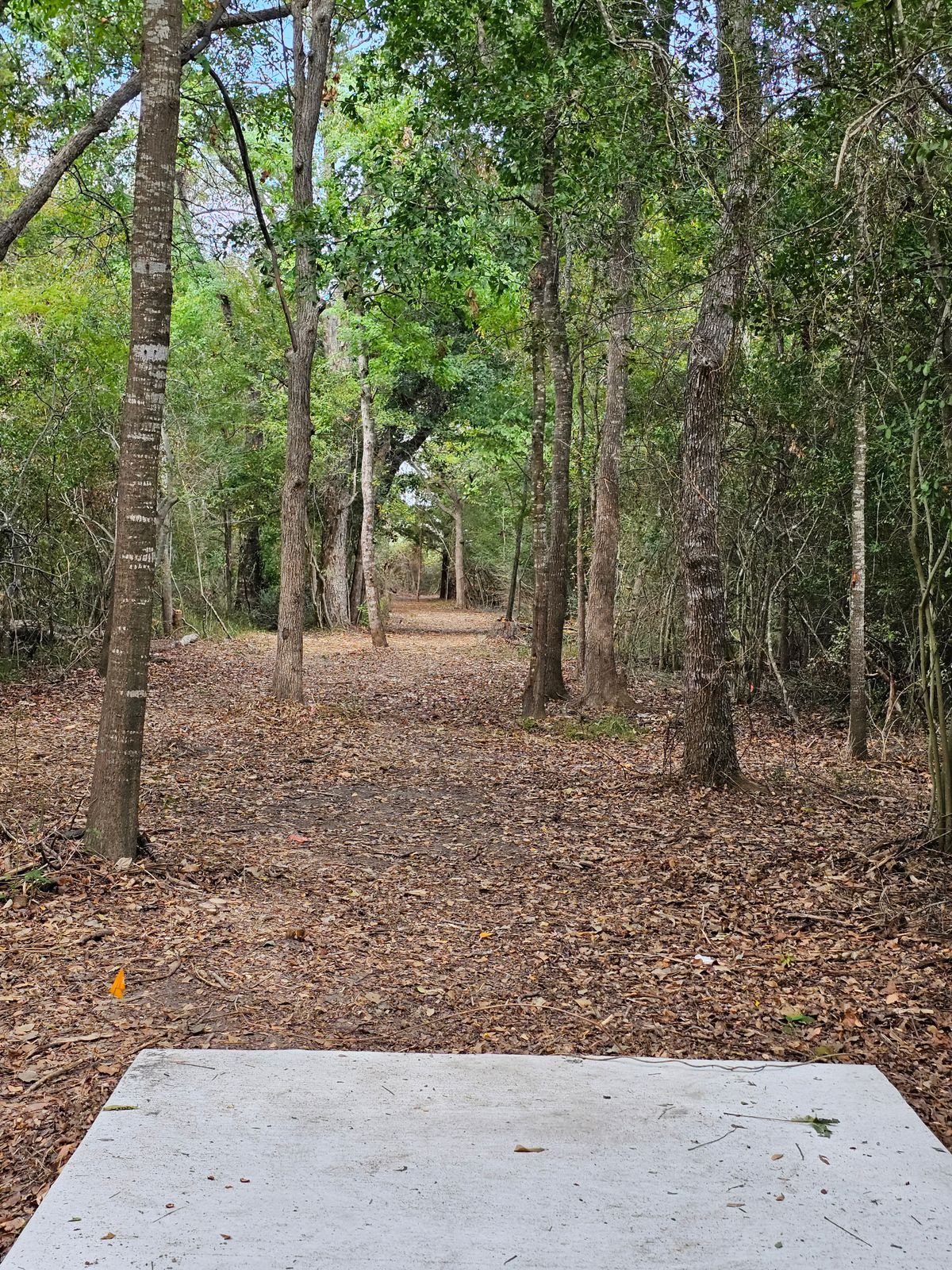 Hole 2 Tee