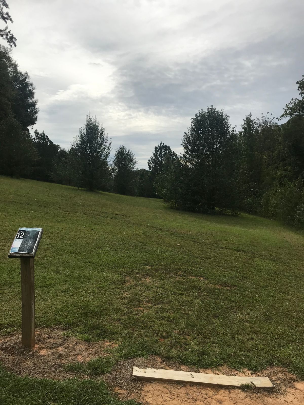 Hole #12 (par 4)