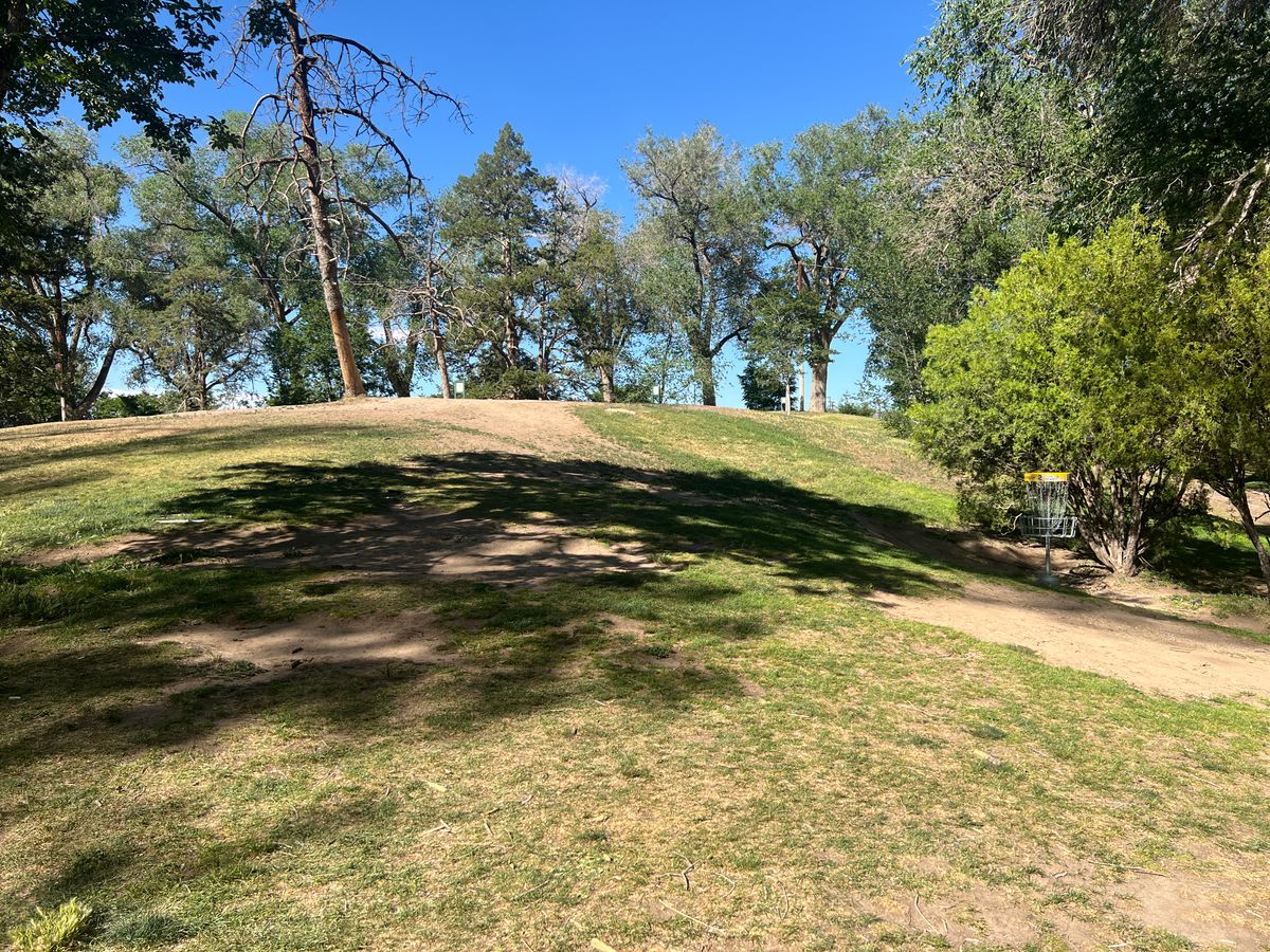 Basket for hole #2 hides behind this hill and tucked into a small tree on the right.