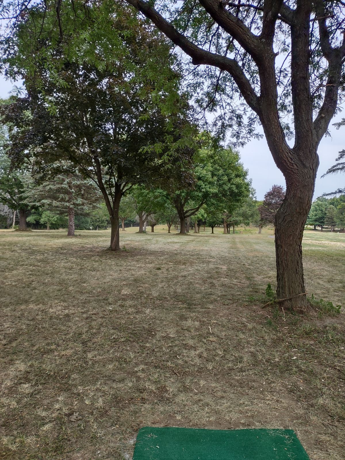 Hole 12 tee