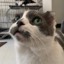 User avatar image