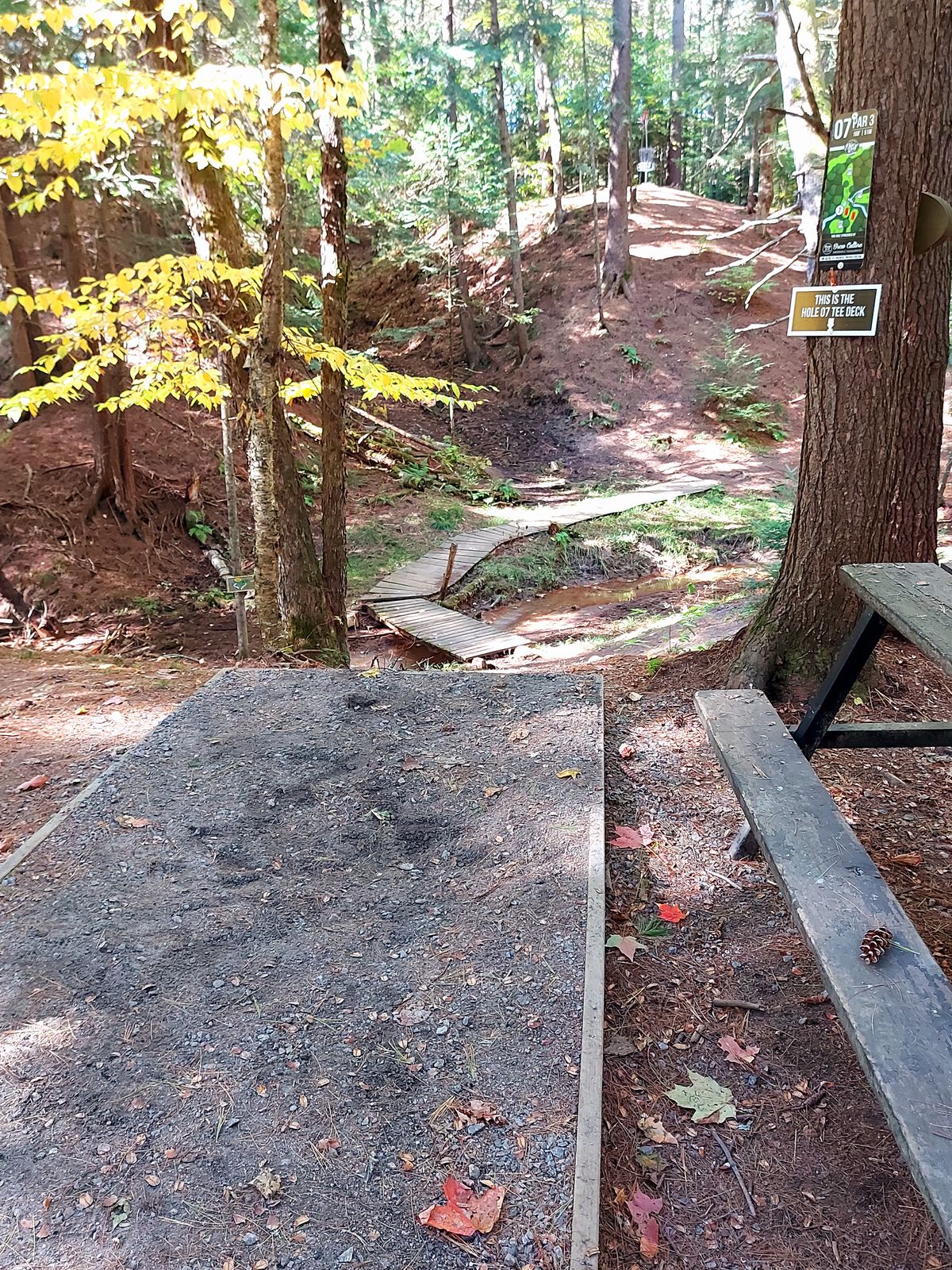 Tee pad 🌳 🌲  🌳 🌲  🌳