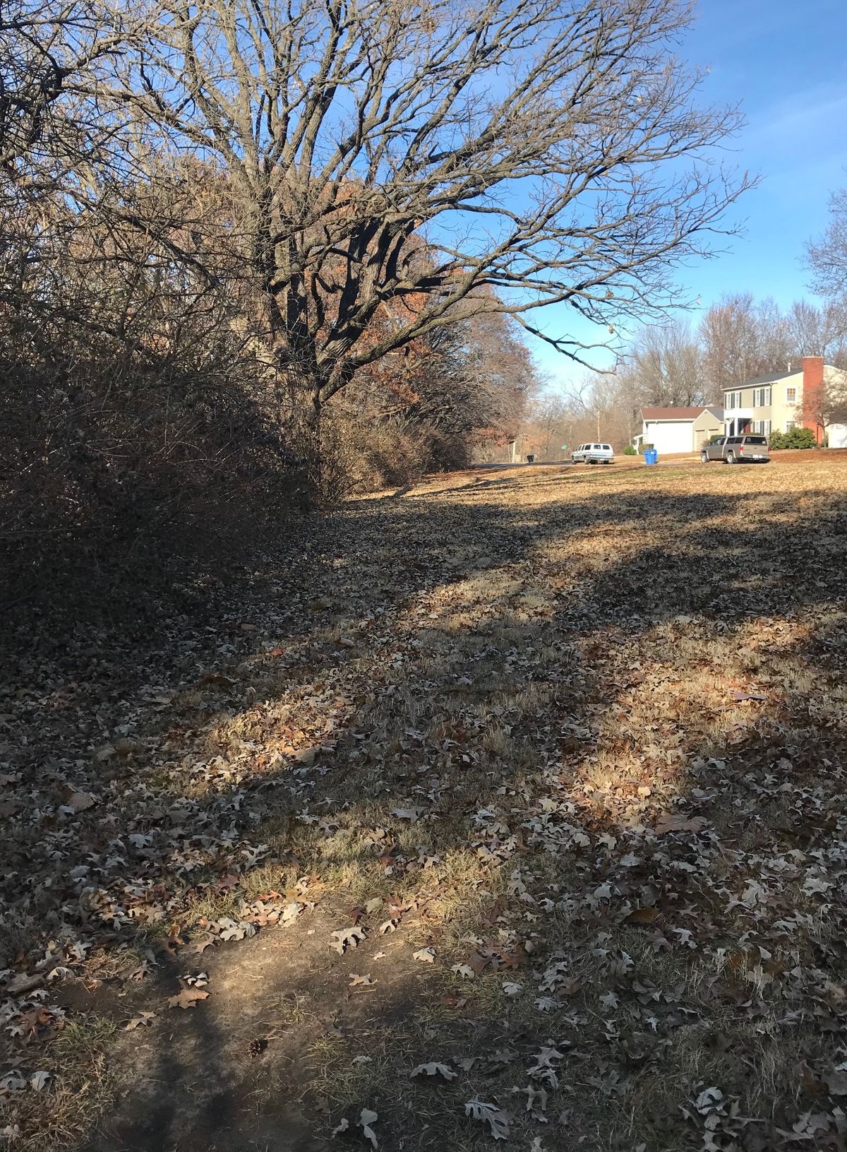 Hole 5 Tee