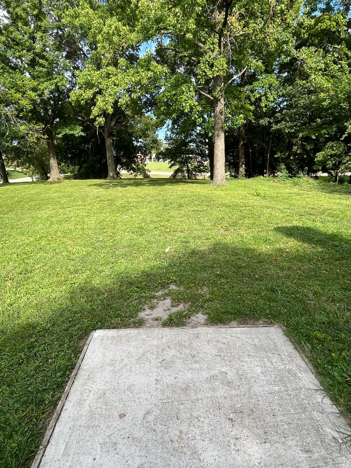 5 tee into basket at bottom of hill.