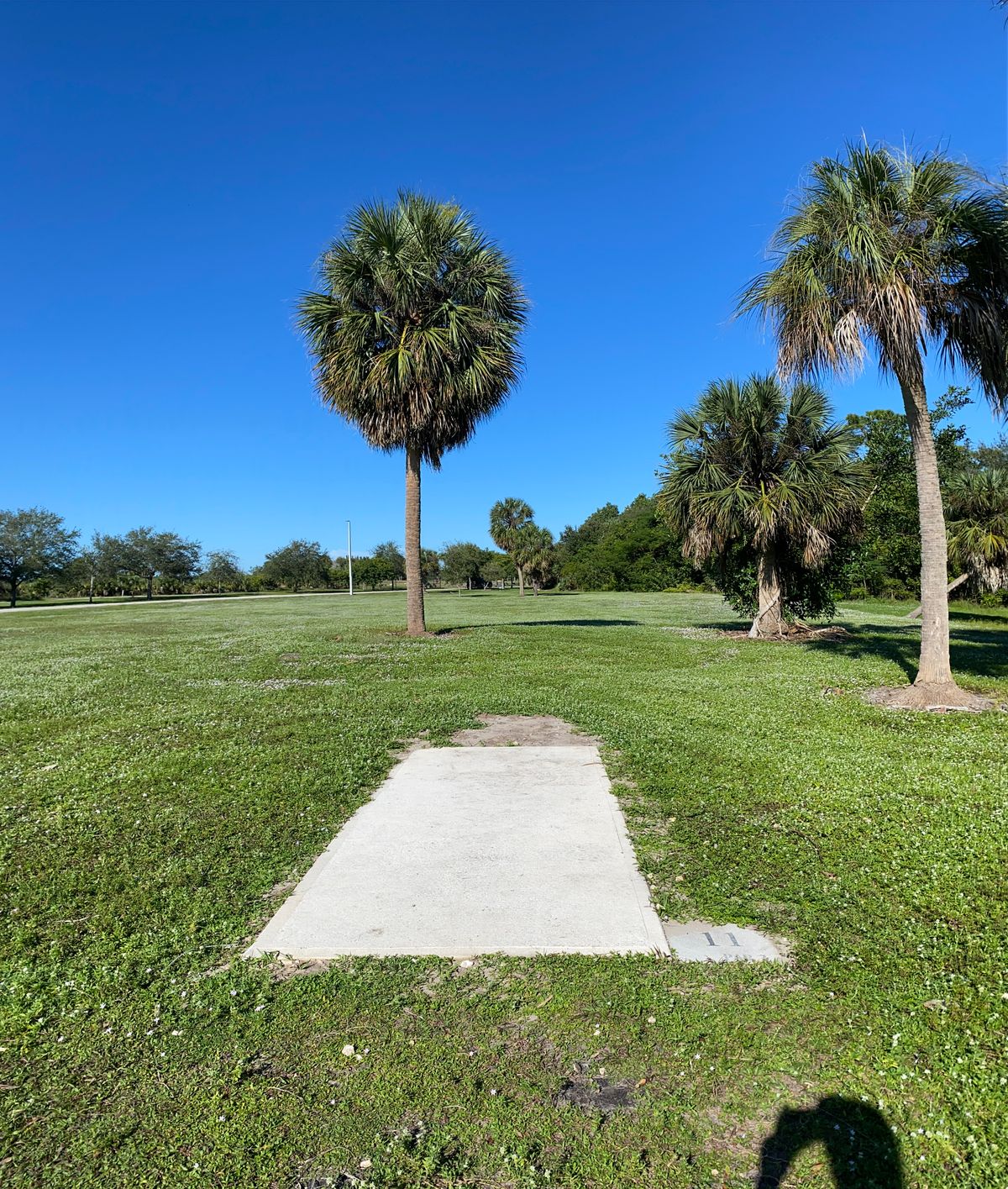 Hole 11
