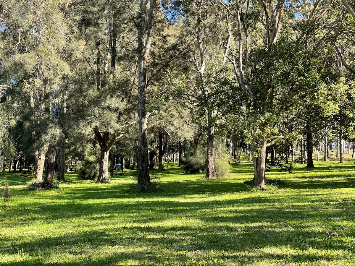 Playing find the basket on hole 2