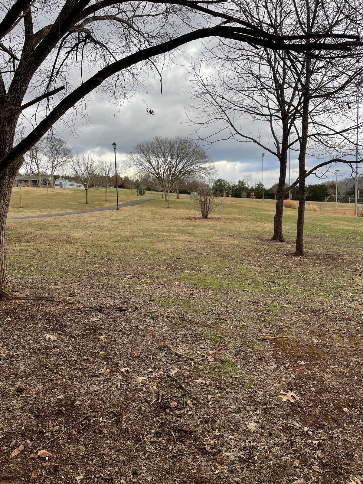 Hole 6