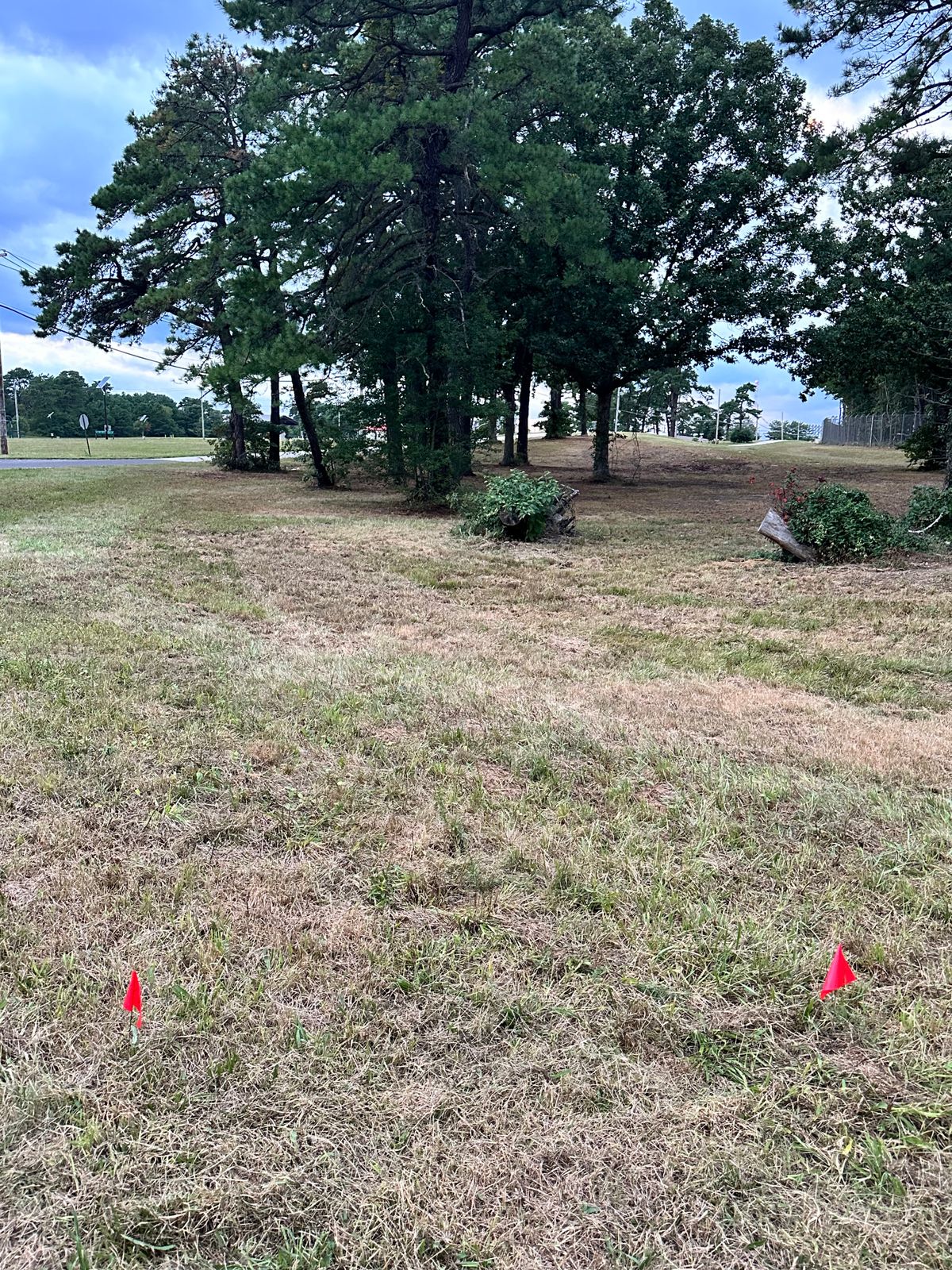Tee 10