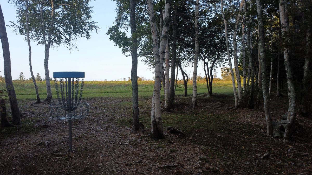 Green of hole 1 looking back towards fairway.
