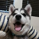 User avatar image
