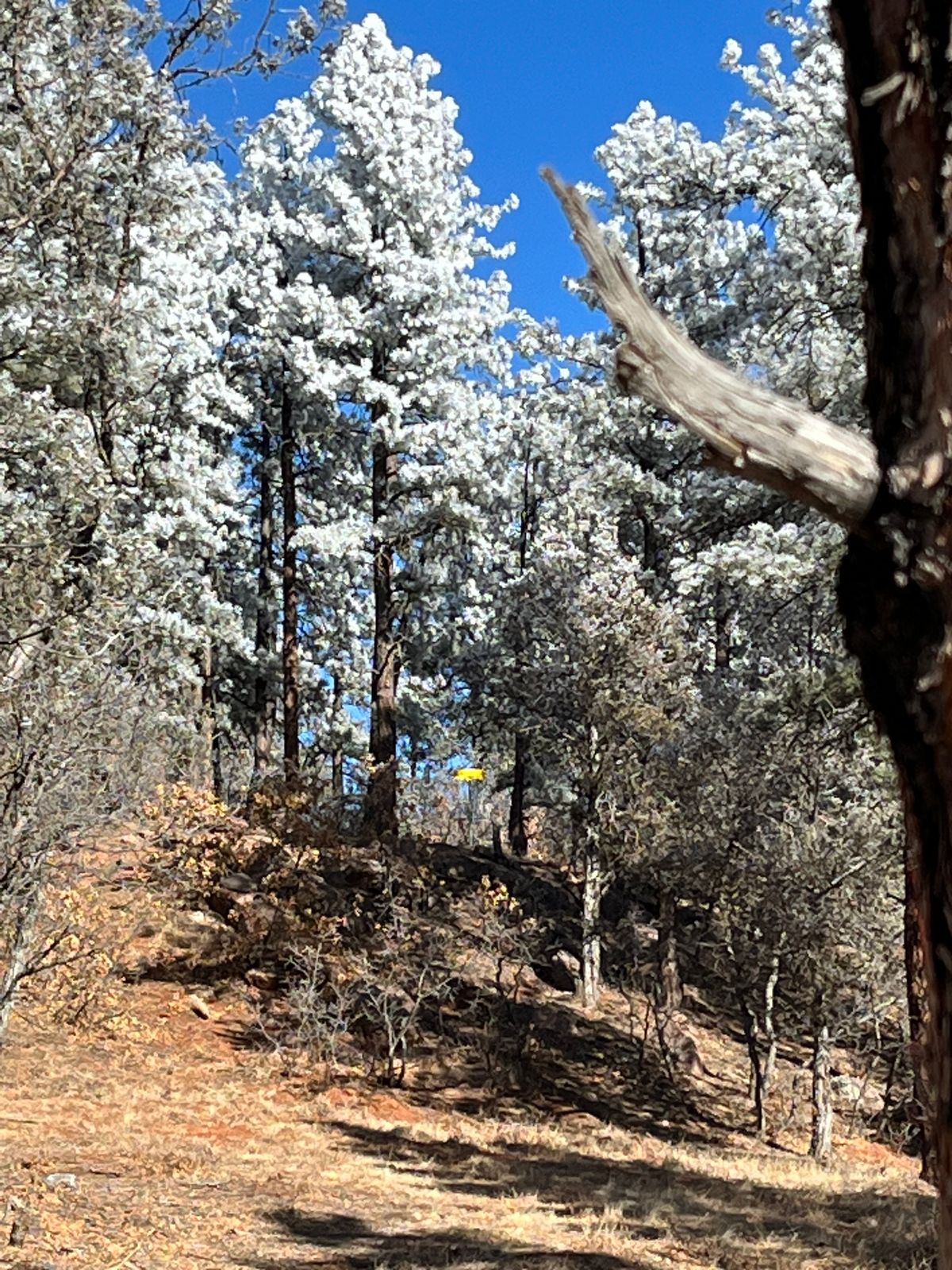 Looking up at the approach to 6