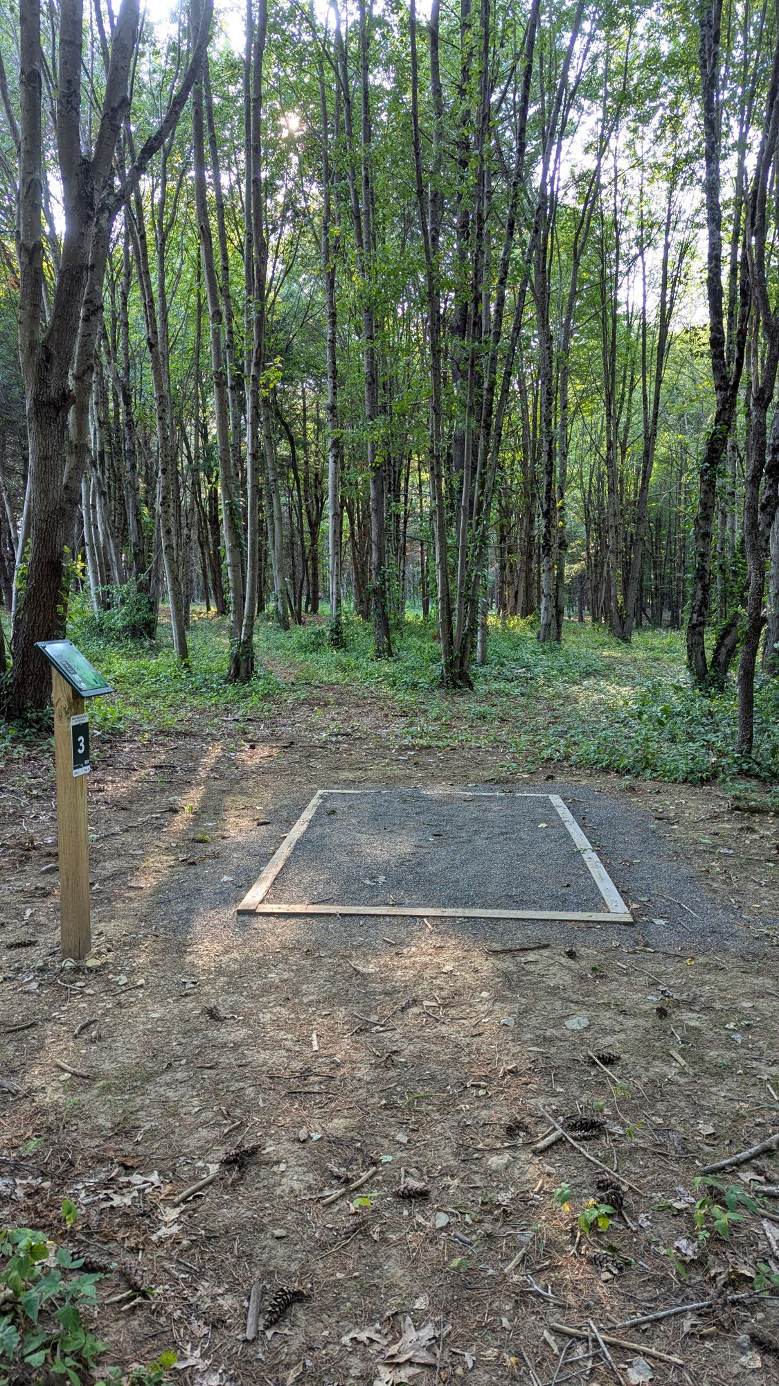 Hole 3 tee, 310' to pin