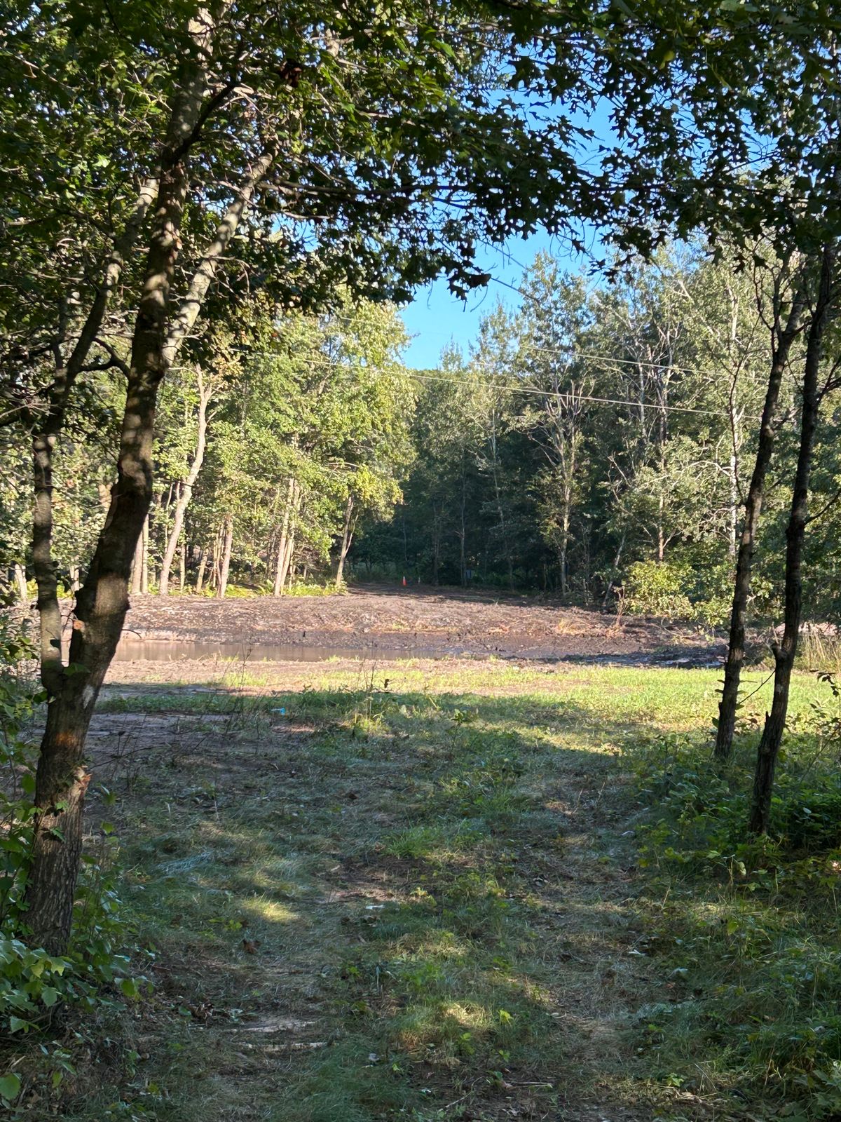 #8 Gold Tee (Knee Deep)
