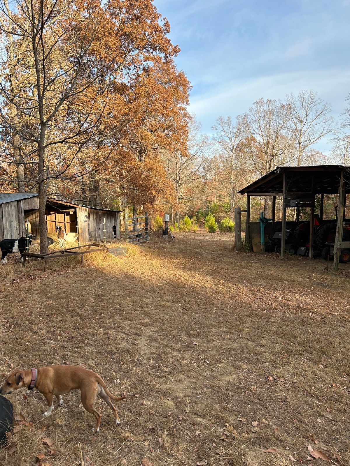 Hole 18 - structures and fences are OB