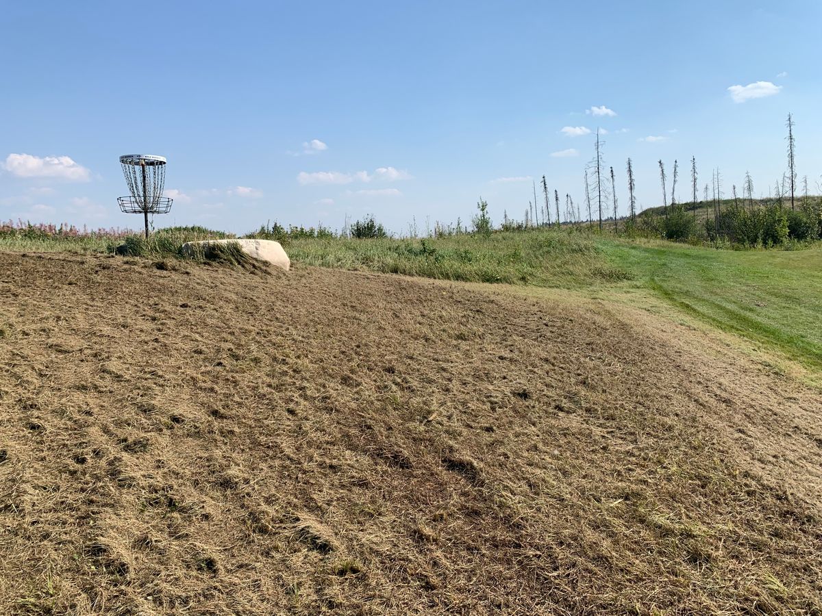 KDub’s basket on hole 9