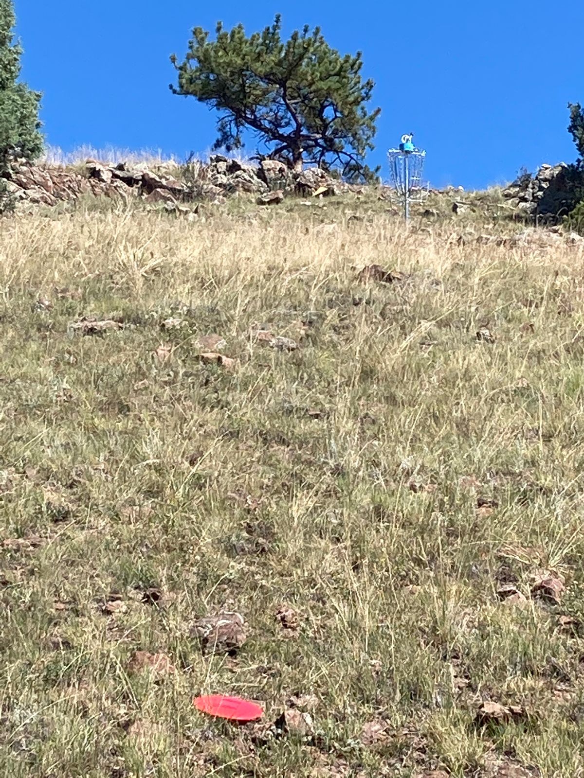 Awesome up hill!