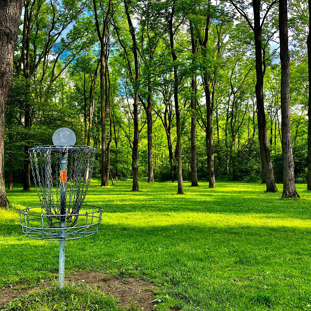 Hole #15 Basket to Tee