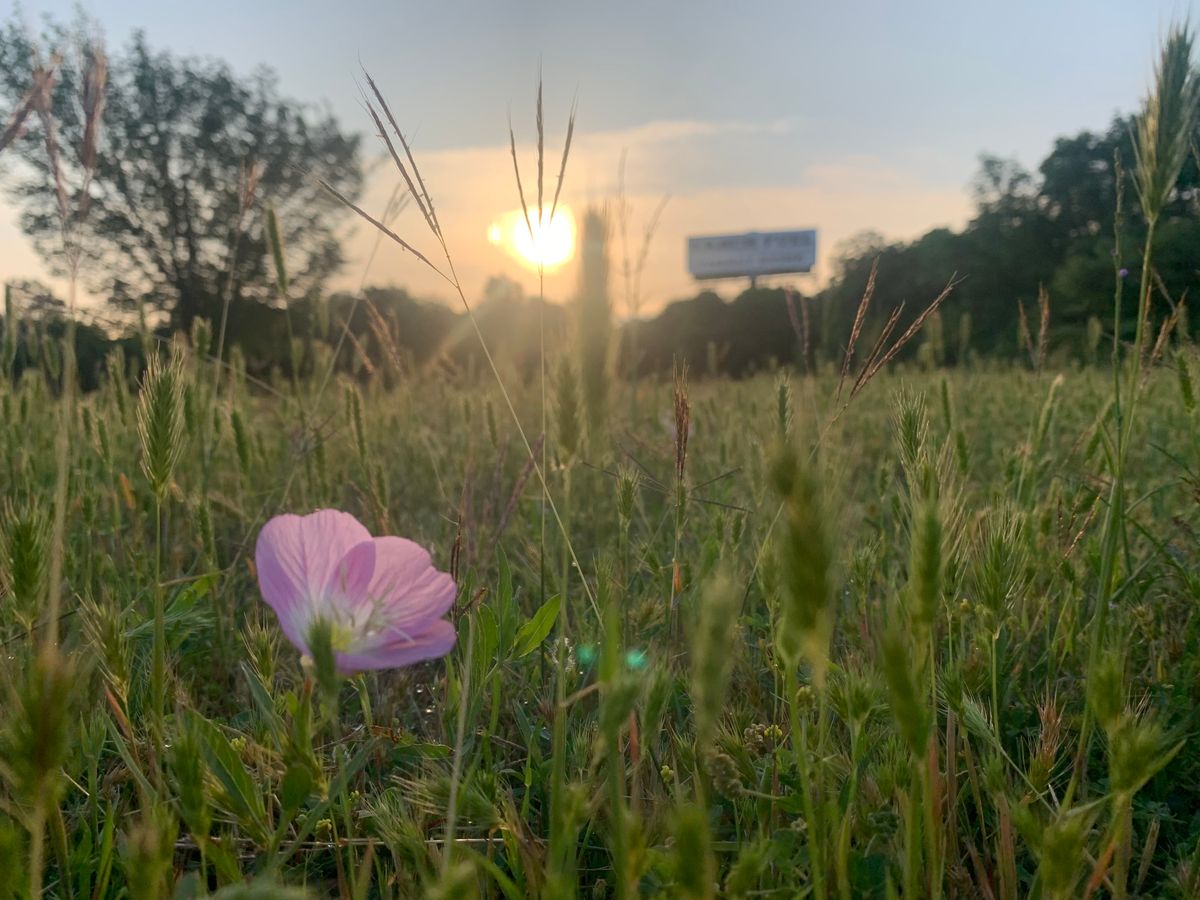 Hole 6 Fairway  Texas wildflowers beginning to show their colors