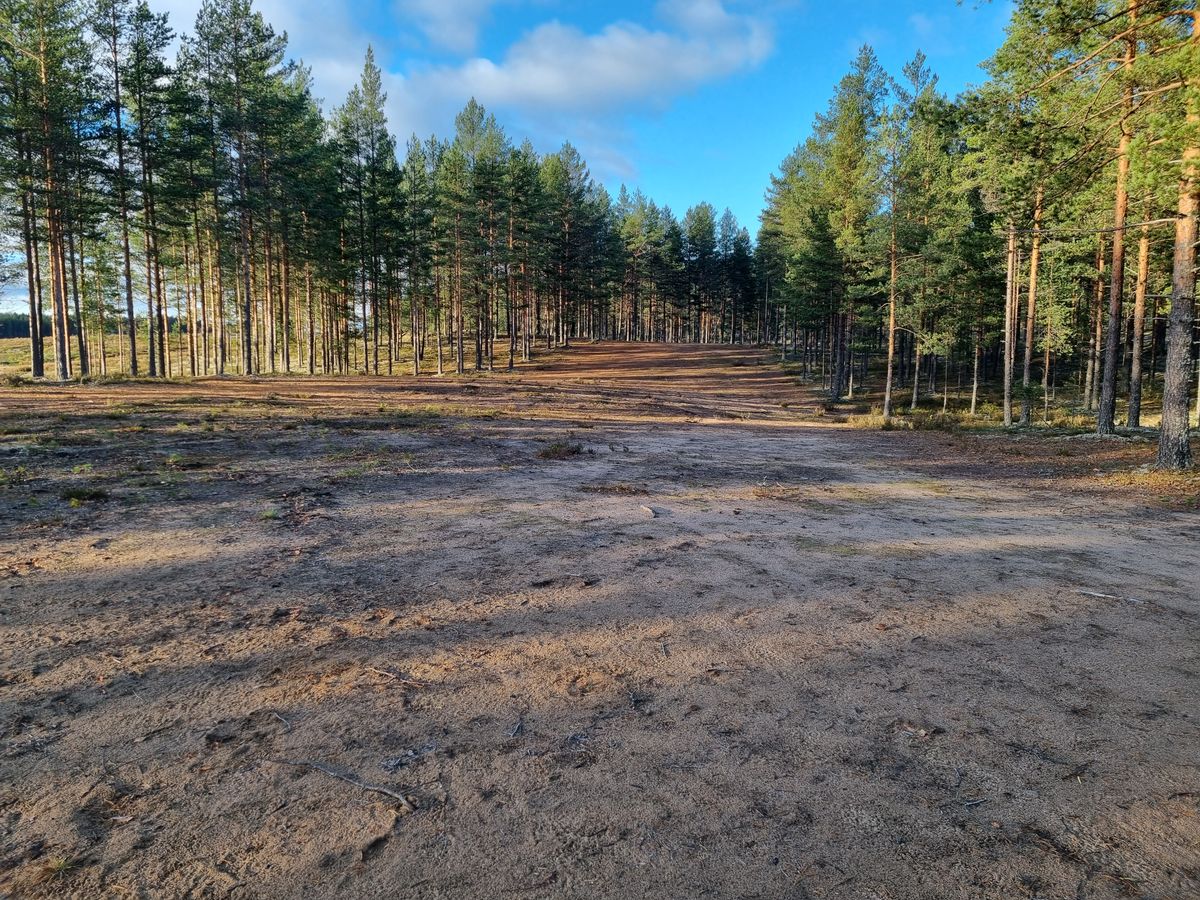 Väylä 15, aukean päästä taittuu vasemmalle korin luokse