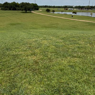 From the hill on 8 Long