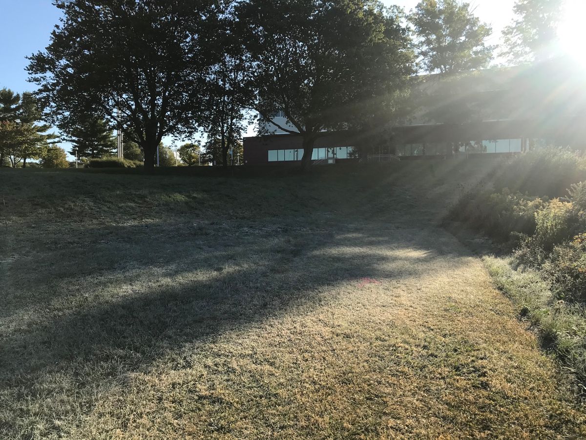Hole 2 approach to basket (directly between two trees towards the left center of the picture).
