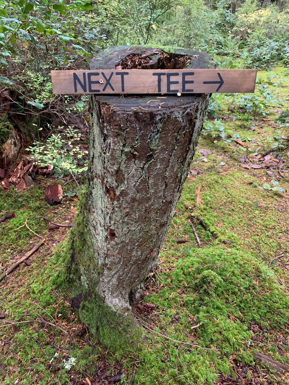 Look for directional signage like this to help navigate.