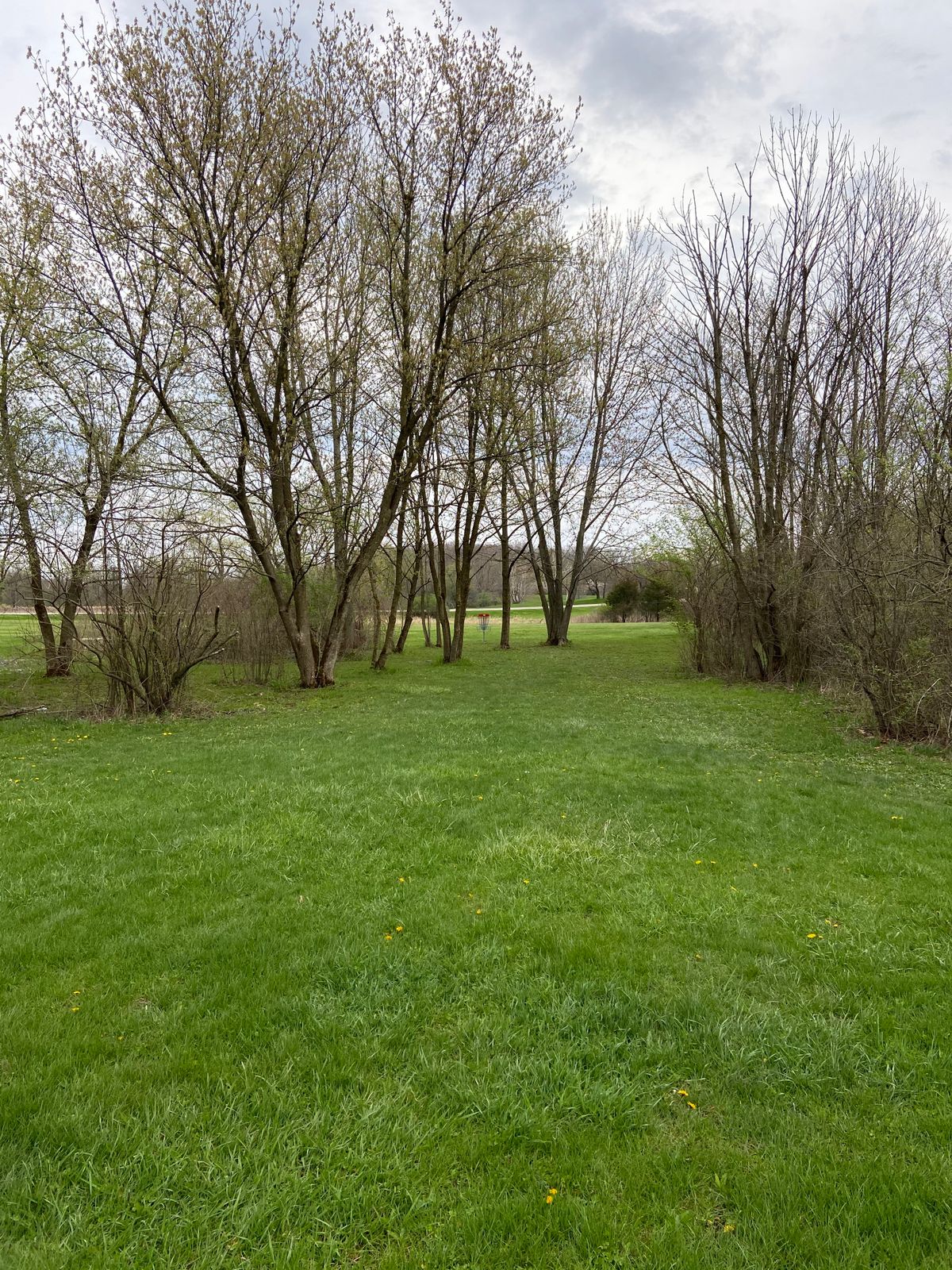 Looking at the pin of hole 12 at the end of the trees.