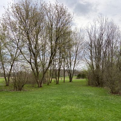 Looking at the pin of hole 12 at the end of the trees.