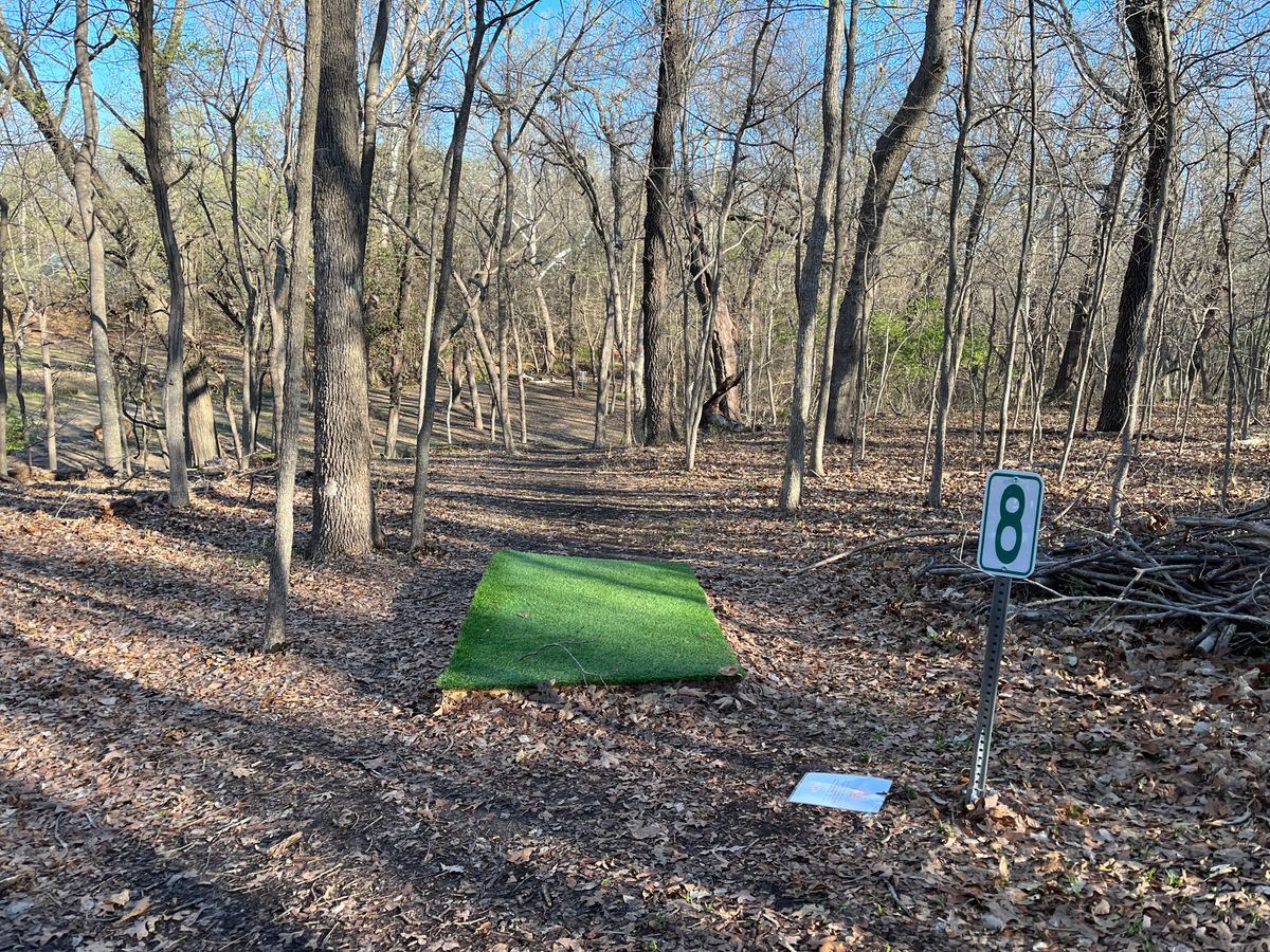 Hole 8, basket straight and downhill