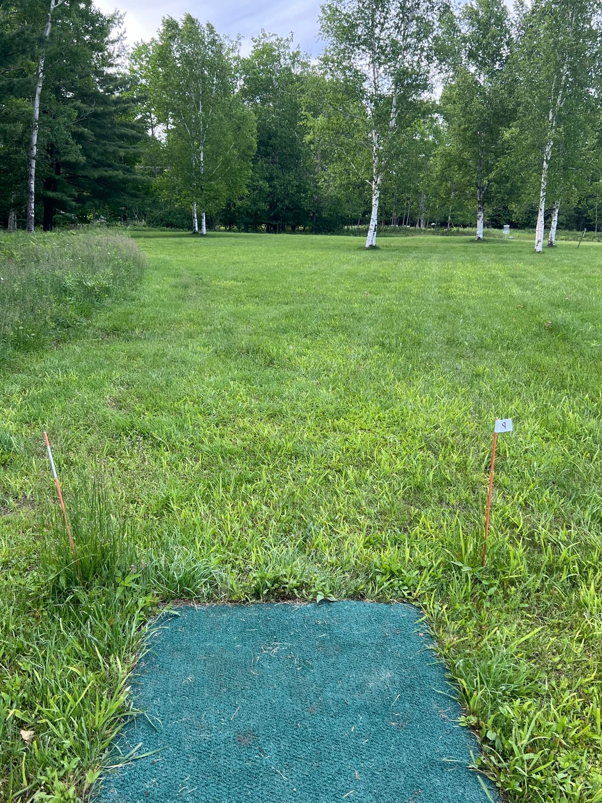 Tee pad 9