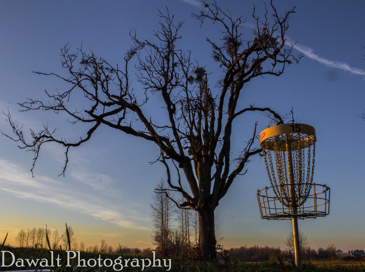 Hole 15