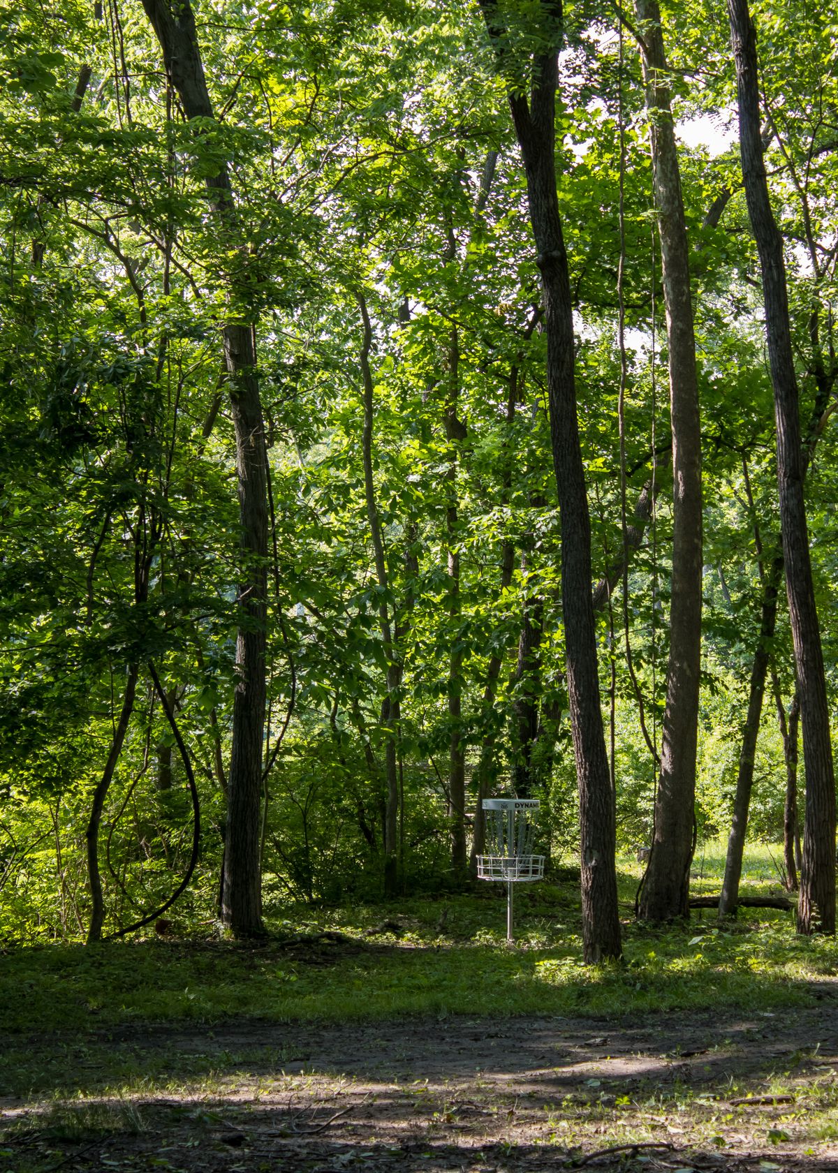 Hole 13 long