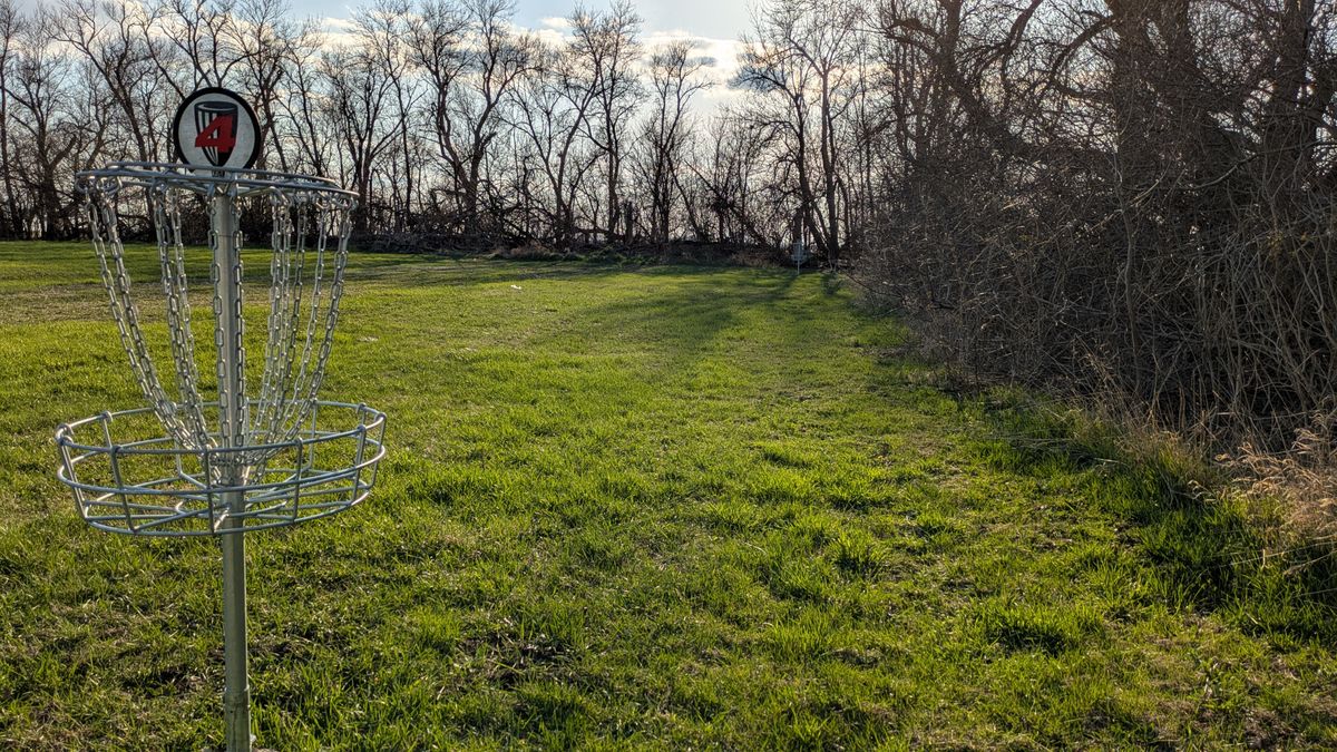 Basket 4, Tee #5