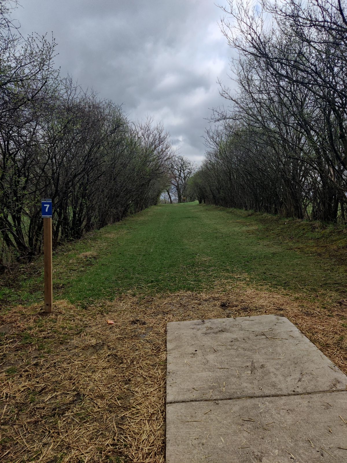 Hole 7 tee