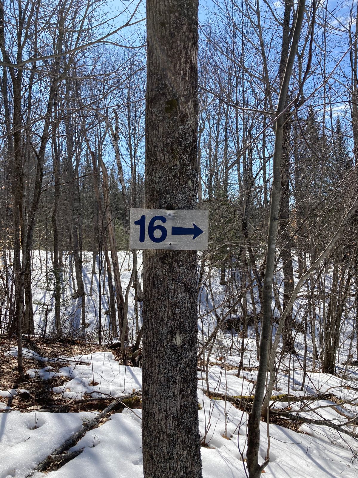 To hole 16!